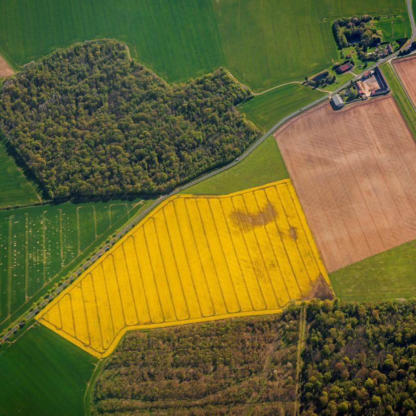 illustration_Action territoriale_carré