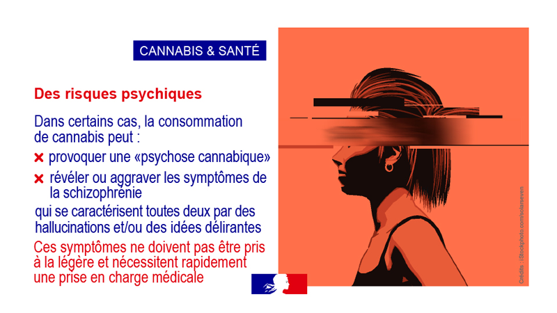 Cannabis et santé vignette 7