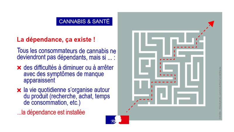 Cannabis et santé vignette 12