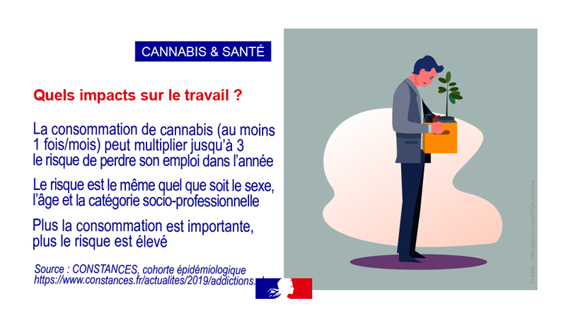 Cannabis et santé vignette 14