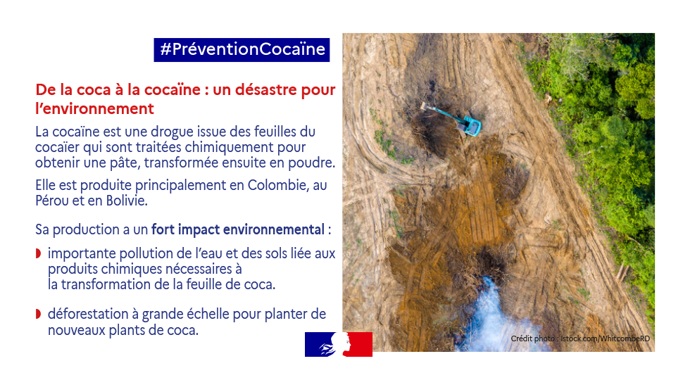 Campagne vignette cocaïne 1