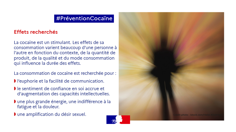 Campagne cocaïne vignette 6