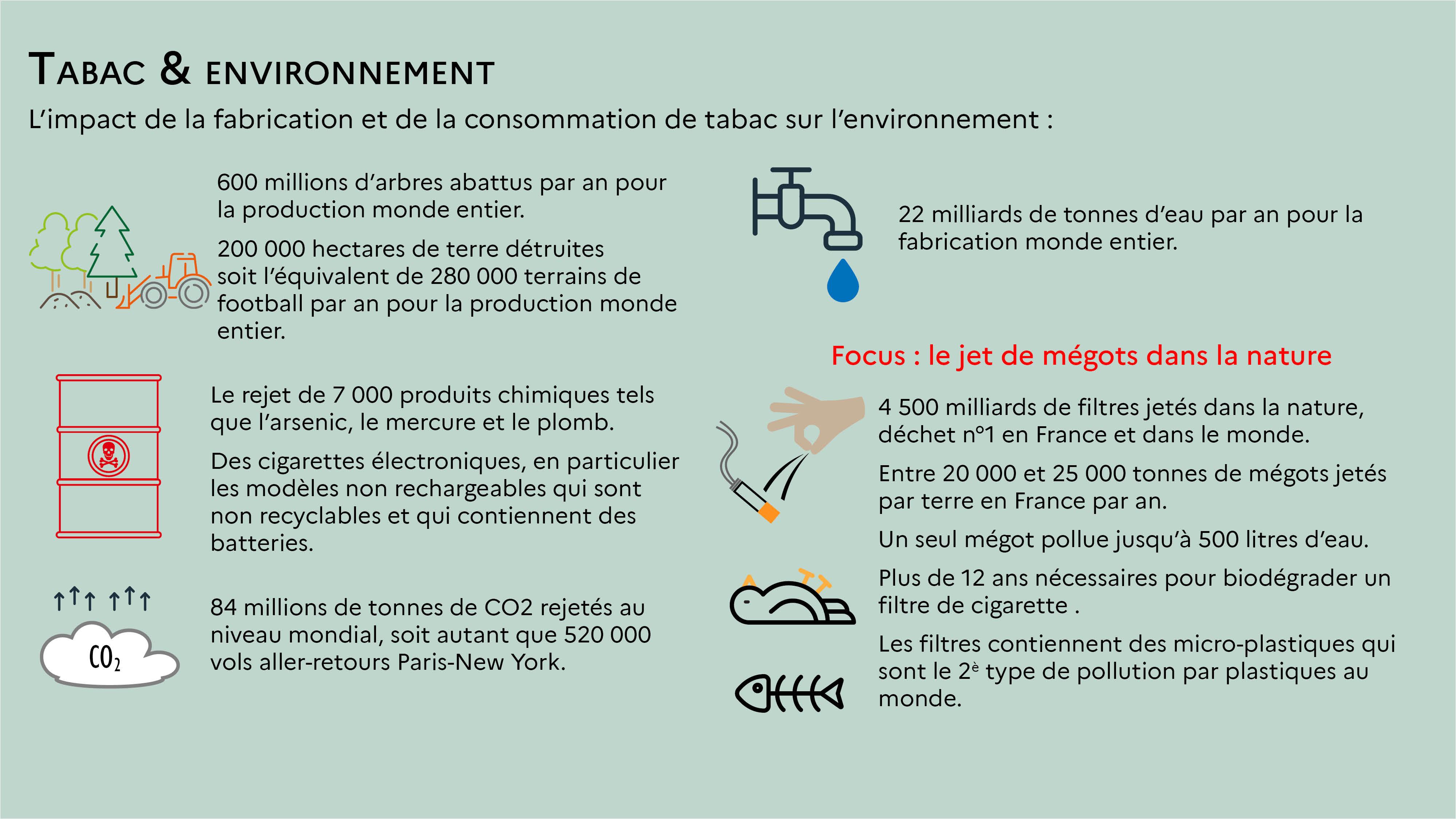Infographie tabac et environnement