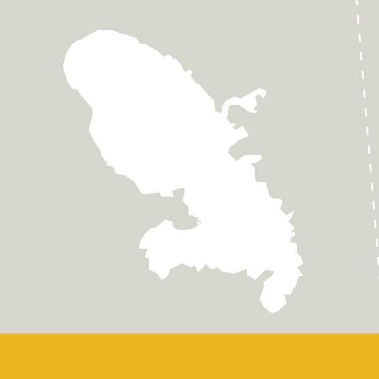 En tête fiche régionale - Martinique_carré
